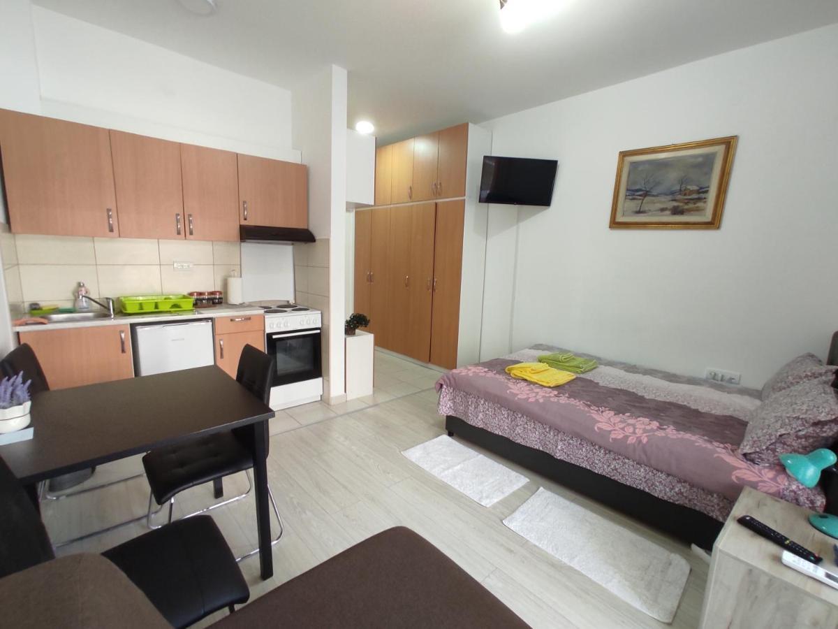 Apartman Goca Banja Koviljača Exterior foto